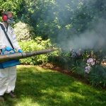 mosquito control