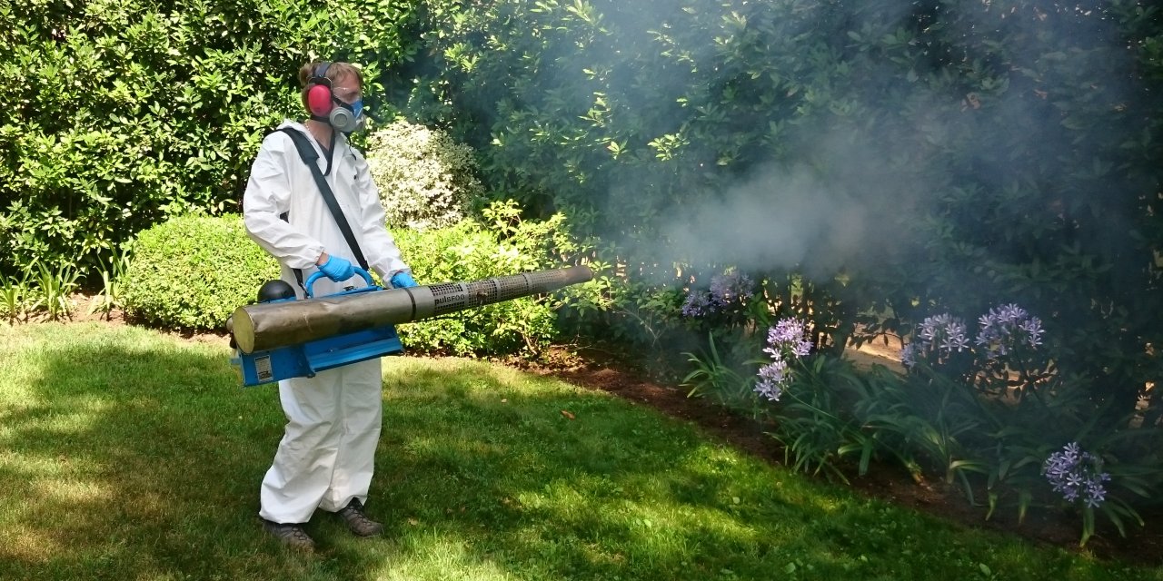mosquito control