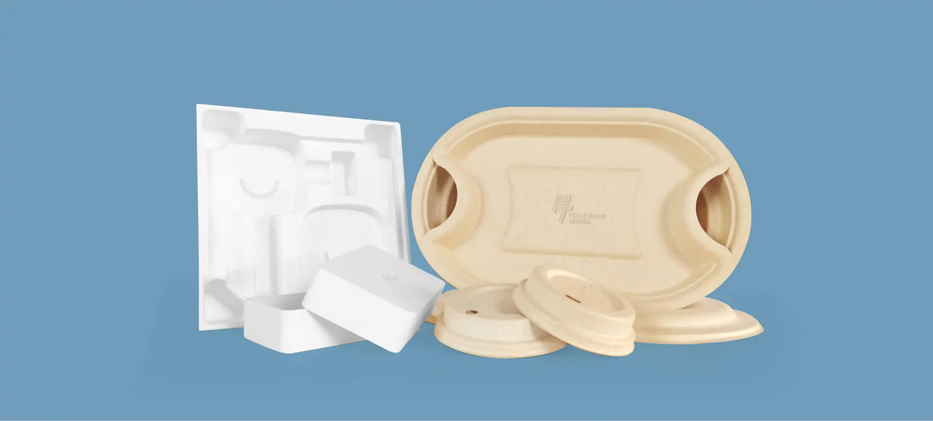paper pulp packaging
